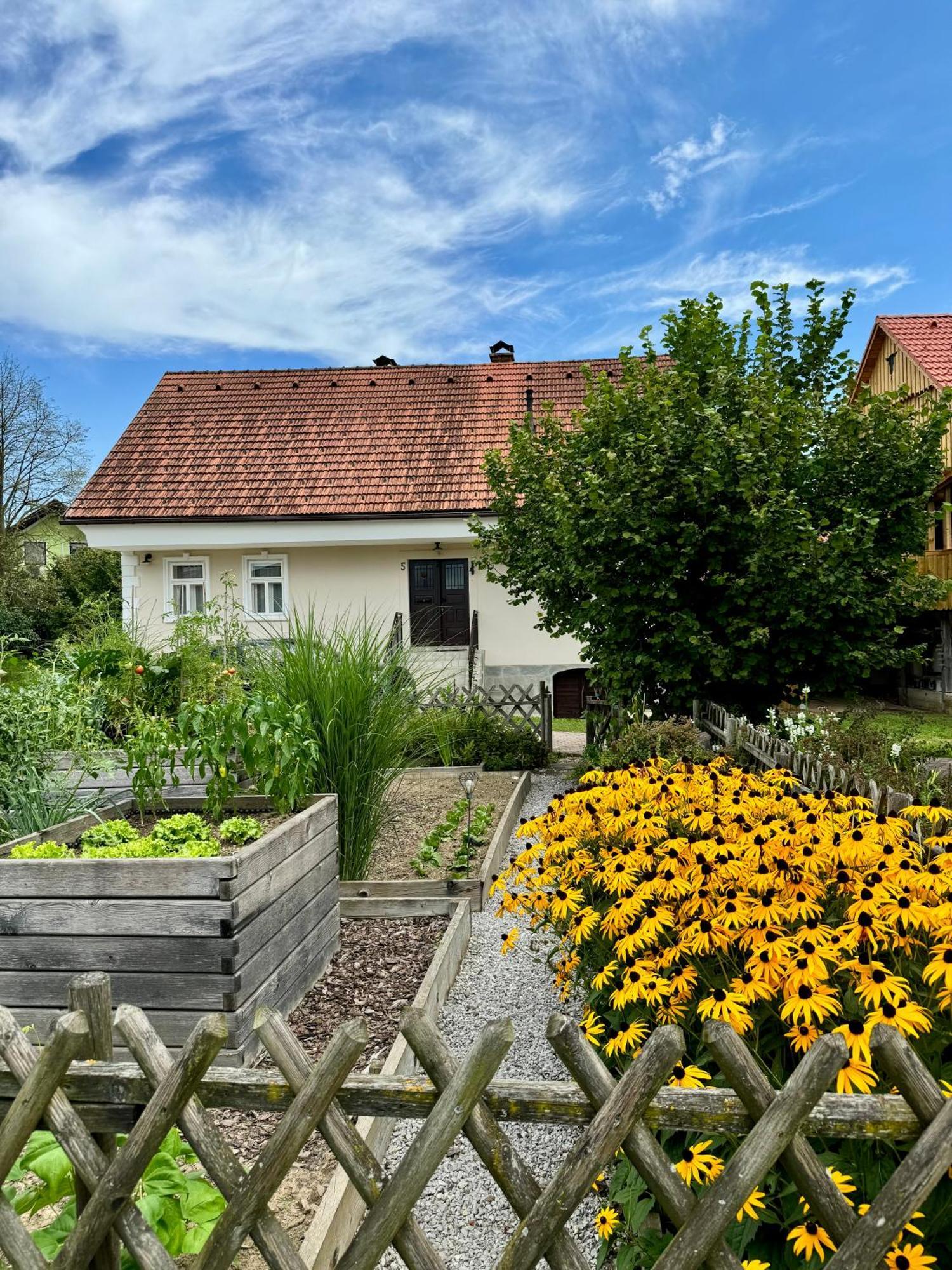 Mokronog Homestead At Stefka'S מראה חיצוני תמונה